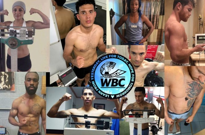 WBC weighing in with Champ weight management program