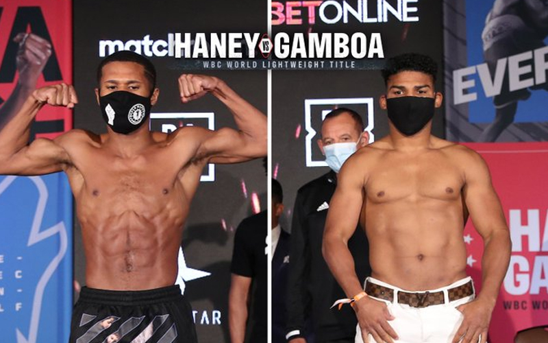 Haney and Gamboa ready to step into the ring
