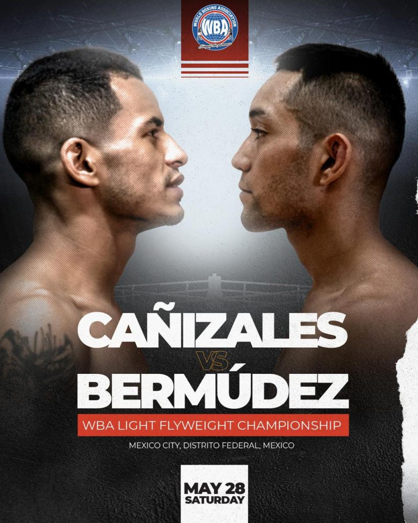 Cañizales and Bermudez will fight this Friday for the WBA world belt