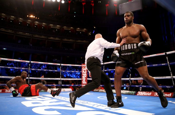 Dubois-Dinu will fight for the Interim Heavyweight title on Saturday