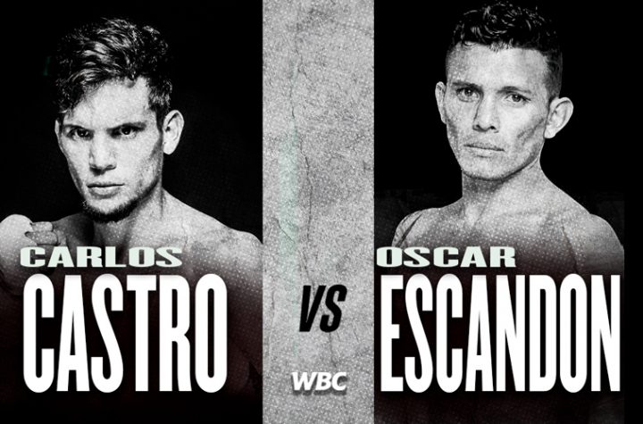 Castro and Escandón contesting WBC Americas Continental title