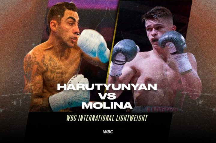 Harutyunyan and Molina will clash for WBC International title