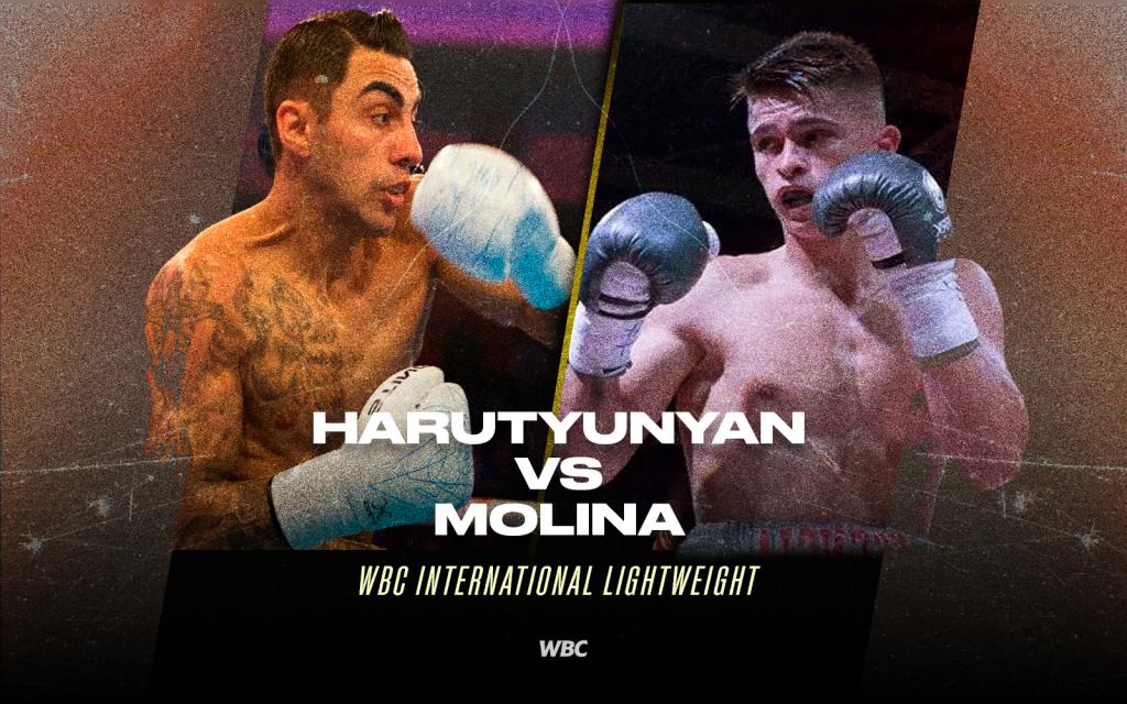 Harutyunyan and Molina will clash for WBC International title